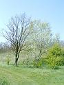 2010.04.24. (33)